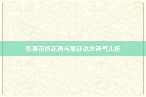 罂粟花的花语与象征说念连气儿析