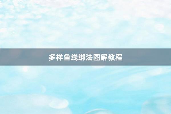 多样鱼线绑法图解教程