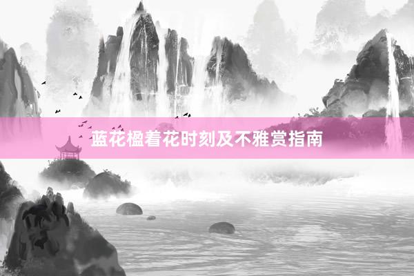 蓝花楹着花时刻及不雅赏指南