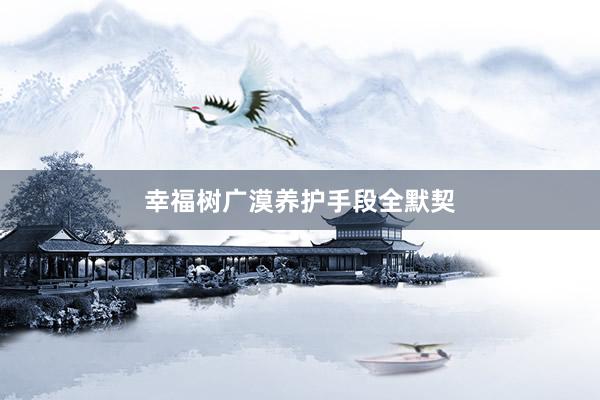 幸福树广漠养护手段全默契